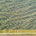 resized_39_api